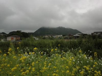 降りそうで降らない