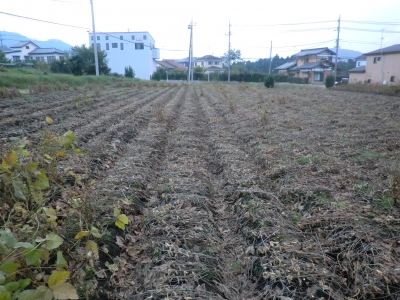 刈った