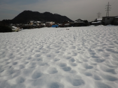 何も見えない