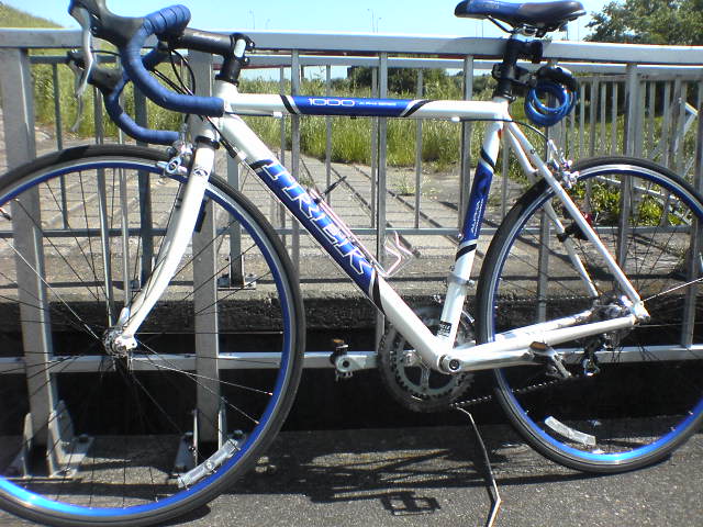 ＴＲＥＫ１０００からマドンへ | あじねこ雑季帳