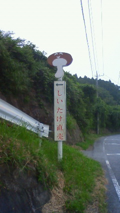 しいたけ直売