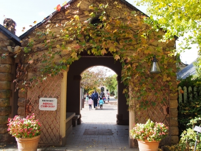 P1010215.JPG