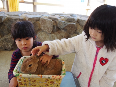 P1010247.JPG