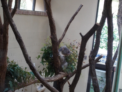 P1010341.JPG
