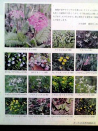秋ヶ瀬1
