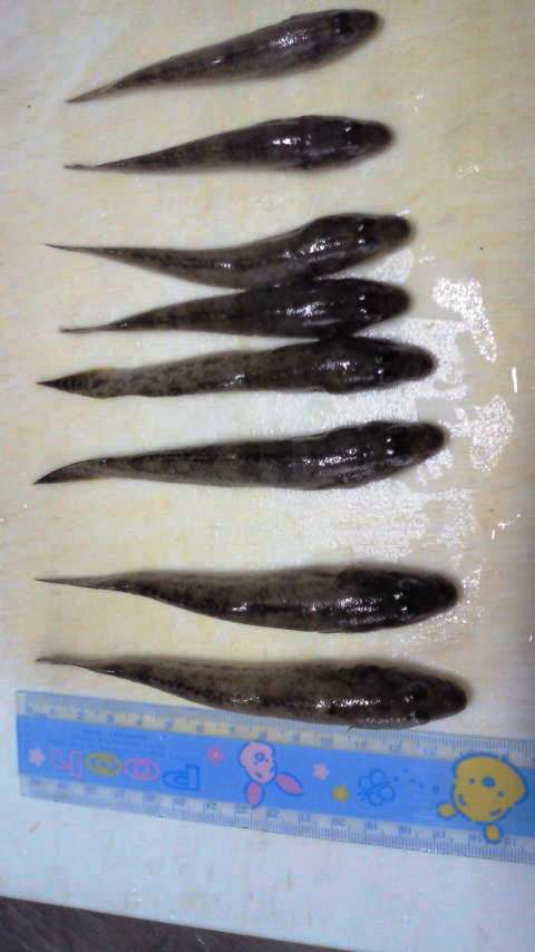 寸法