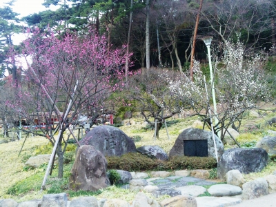 梅園1