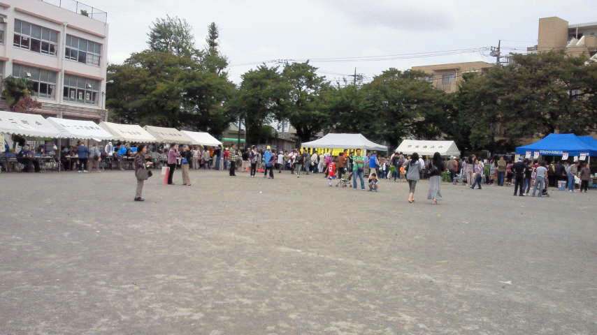 地区祭4