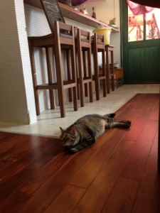 ねこカフェ