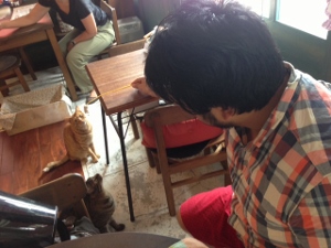 ねこカフェ