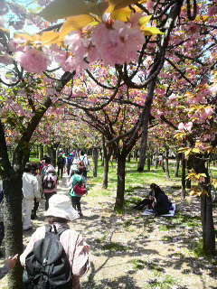 2014041911410000.jpg
