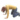 EntryImage.gif