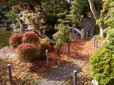 紅葉