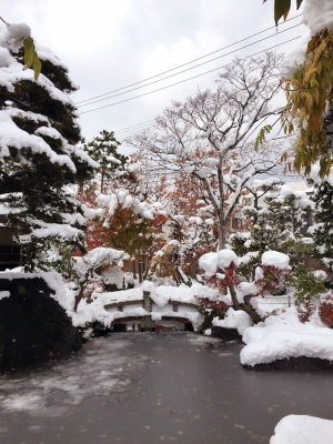雪と紅葉