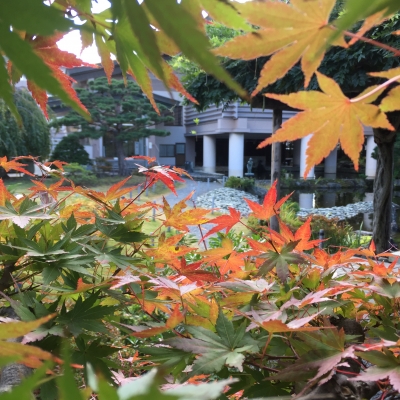 10/25紅葉