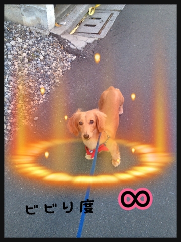 iPhoneImage.png