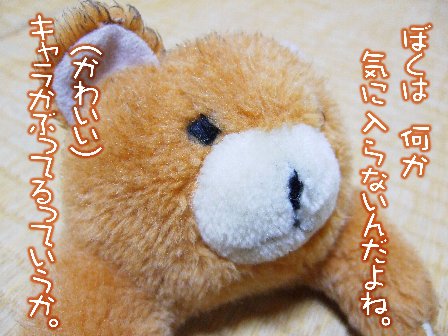 かぶってるか?
