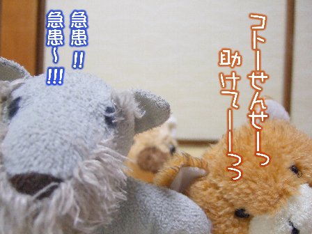 きゃーーーーーっっ