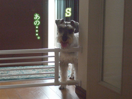 あの・・・。