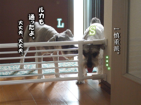 慎重派。