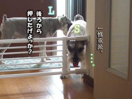 とっても慎重派。