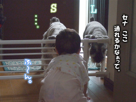 相談。