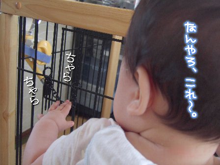ちゃらちゃら。