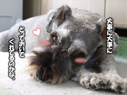 ぽっ。