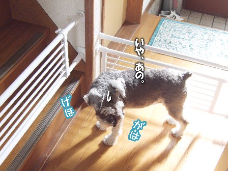がはげほ。
