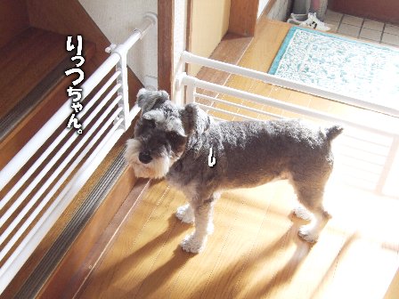 たしか、りっつ・・・。