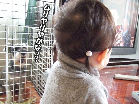 ムリヤリやがな!