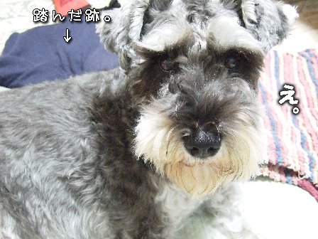 よりによって。