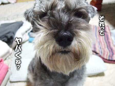 どきどき。