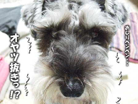 ぶるぶる。
