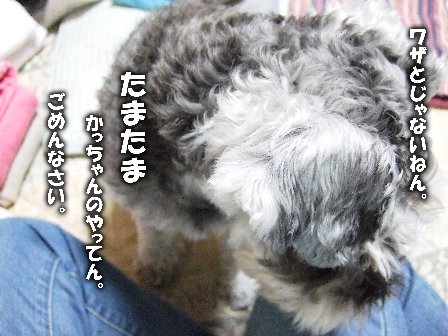 えぐえぐ。