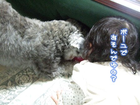 出た。