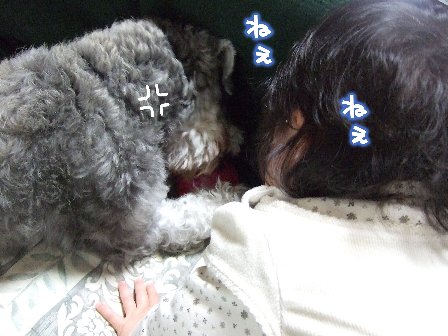 ねぇったら。