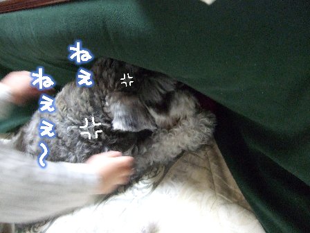 ね〜っっ。