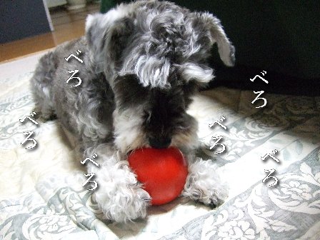 べろべろべろべろ。
