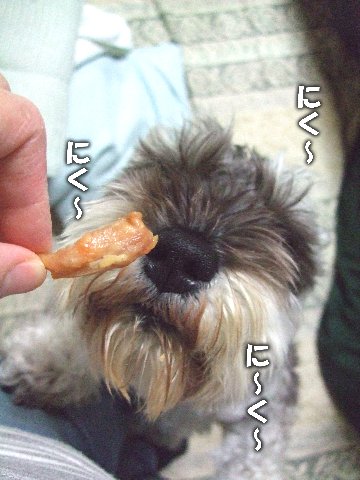 にく にく〜♪