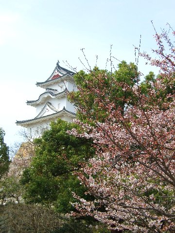 明石公園。