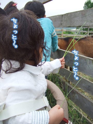 ちょっとー。ちょっとー。