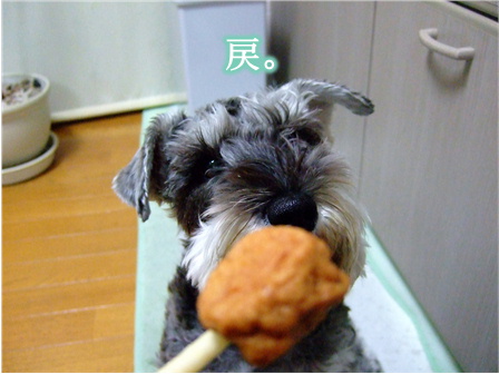 おすわり。