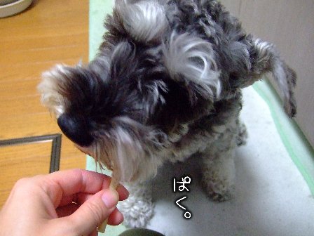 ぱく。
