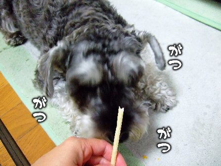 がつがつがつがつ。