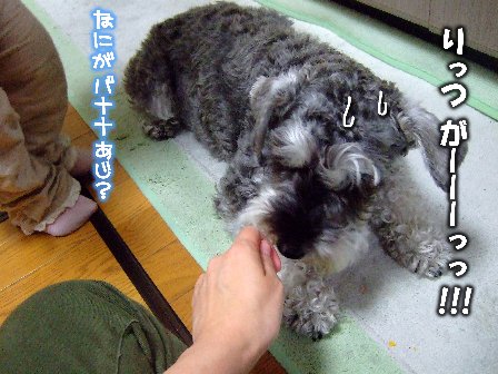 じわじわ・・・。