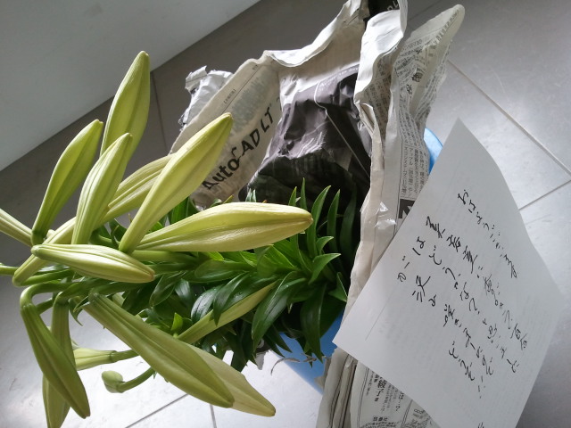 2011-06-13 09.54.34.jpg