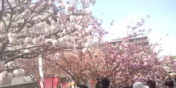 120418_150704_ed.jpg
