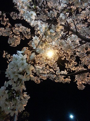 20130330_230147.jpg