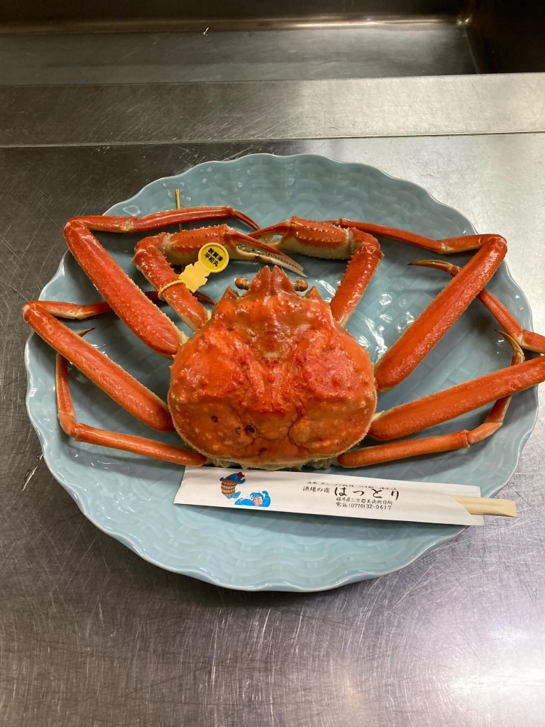 越前がに